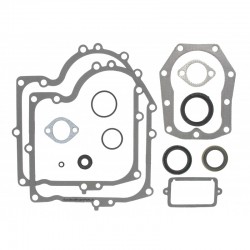 Replacement Briggs & Stratton Engine Gasket Seal Set 490525 494241