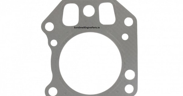 691889 and 273240 Briggs & Stratton 697230 Cylinder Head Gasket Replacement for Models 695166 