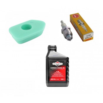 Replacement Briggs & Stratton Early Sprint Engine Service Kit old type Replacement Briggs & Stratton Early Sprint Engine Service Kit old type