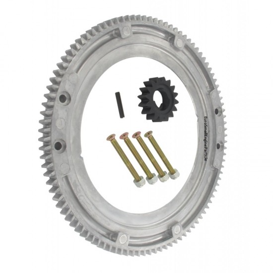 Replacement Briggs and Stratton Flywheel Ring Gear 8 to 16HP