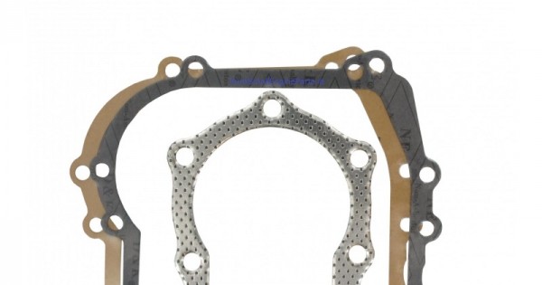 Replacement Briggs and Stratton Gasket Set 391662