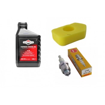 Replacement Briggs & Stratton Later Type Sprint Engine Service Kit Replacement Briggs & Stratton Later Type Sprint Engine Service Kit