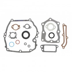 Replacement Briggs & Stratton Quantum Engine Gasket Set Replacement Briggs & Stratton Quantum Engine Gasket Set