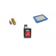 Replacement Briggs & Stratton Quantum Engine Service Kit Replacement Briggs & Stratton Quantum Engine Service Kit