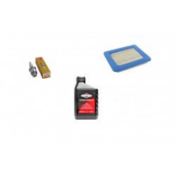 Replacement Briggs & Stratton Quantum Engine Service Kit Replacement Briggs & Stratton Quantum Engine Service Kit