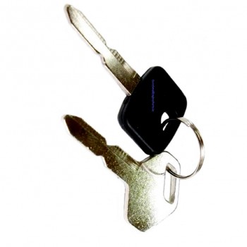 Genuine Castelgarden Key for 118450075/1 Switch