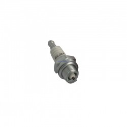 Champion RCJ8Y Spark Plug