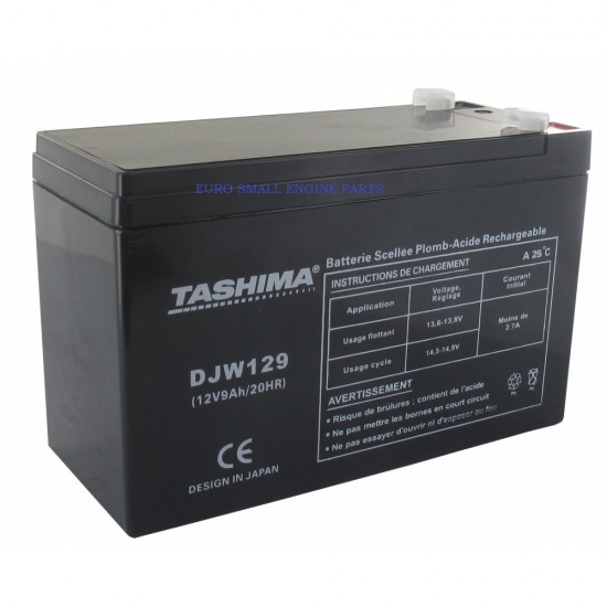Tashima Gel Dry Castelgarden Flymo Stiga Lawnmower Battery 12v 9ah SLA F72