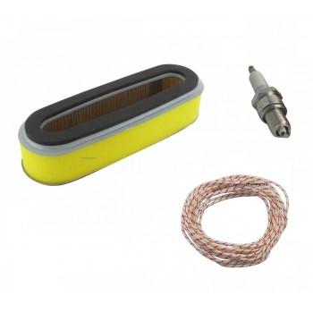 Replacement Honda HR194 HR21 GXV120 GXV120 GXV140 GXV160 Service Kit