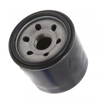 Replacement Mountfield & Stiga Loncin ST550 ST600 ST650 Oil Filter 118551566/0 Replacement Mountfield & Stiga Loncin ST550 ST600 ST650 Oil Filter 118551566/0