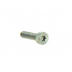 Genuine Stihl Spline Screw IS-M6-25mm Genuine Stihl Spline Screw IS-M6-25mm