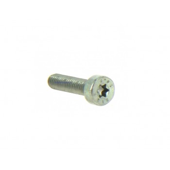Genuine Stihl Spline Screw IS-M6-25mm