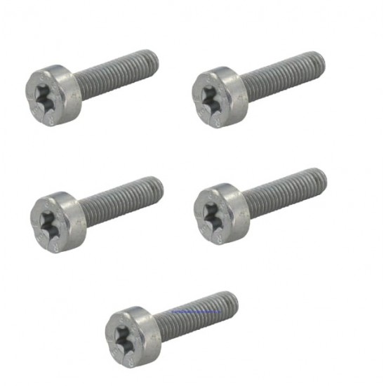 Replacement Torx Screws Pack Of 5 M5 x 25mm