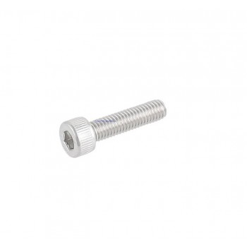Replacement Stihl Torx M5 x 15mm Single Screw Replacement Stihl Torx M5 x 15mm Single Screw