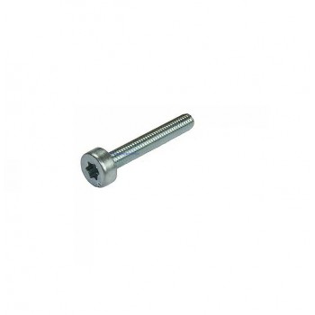 Replacement Stihl Torx screw M5 X 30mm Replacement Stihl Torx screw M5 X 30mm