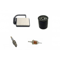 Replacement Kohler Courage SV470 SV471 SV480 SV530 SV540 SV541 SV590 SV600 SV610 SV620 Service Kit 4PC
