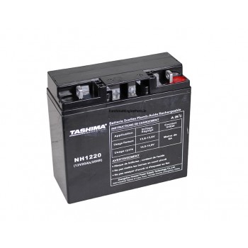 Genuine Tashima Battery NH1220 Gel Dry Honda Castelgarden John Deere Efco Simplicity Stiga Alko