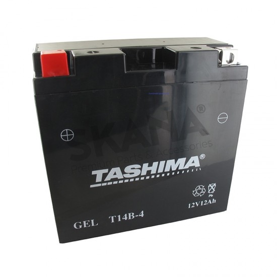 Tashima Battery Gel Agm 12A L152mm W70mm H145mm Left Positive