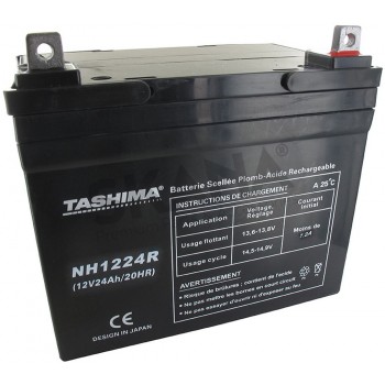 Tashima Battery Gel Agm 100% Sealed 12V 24A for Lawn Tractors L:195 W:130 H:180 + Right