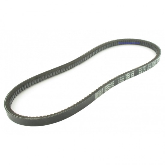 V-belt toothed 3L (10 x 6 mm). La: 795 mm
